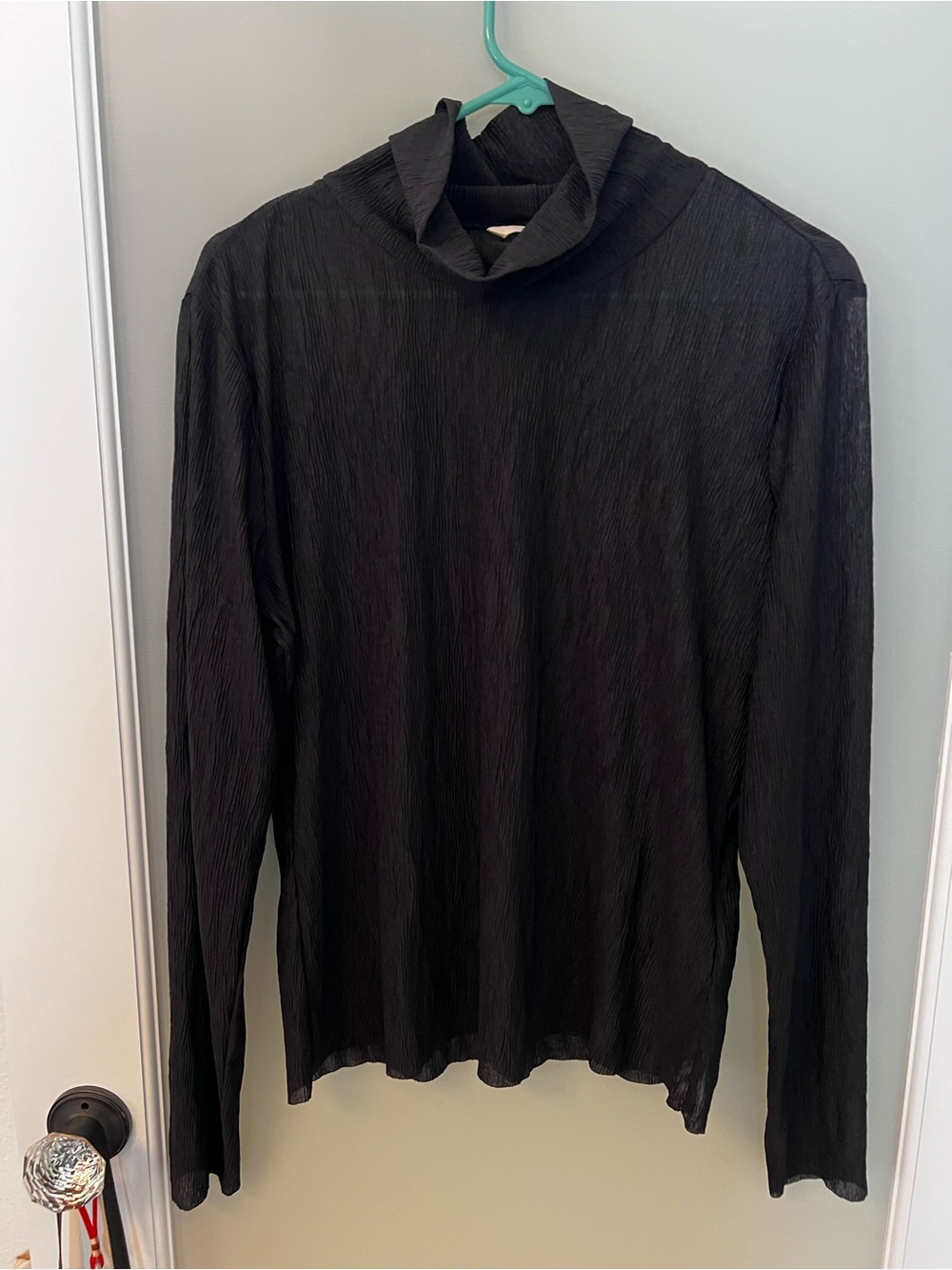 H&M Sheer Black Long-Sleeve Lightweight Turtleneck